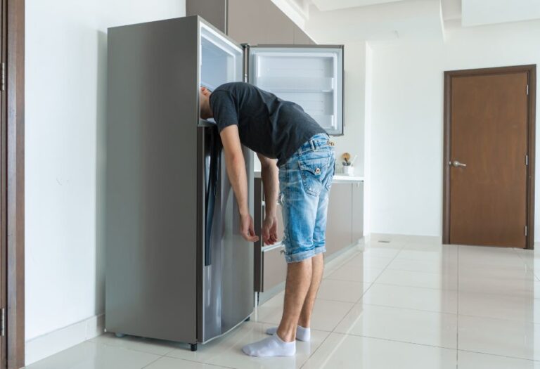 5 Reasons a Top Mount Fridge May Be Best for Your Needs