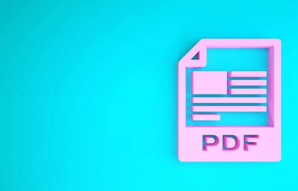 pdf file icon
